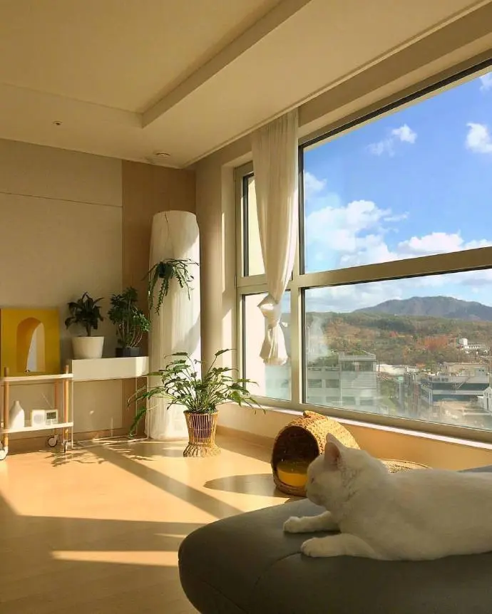 从光谱质量、能源消耗、健康效益等维度，深度对比真实阳光传输与人工全光谱模拟的技术差异